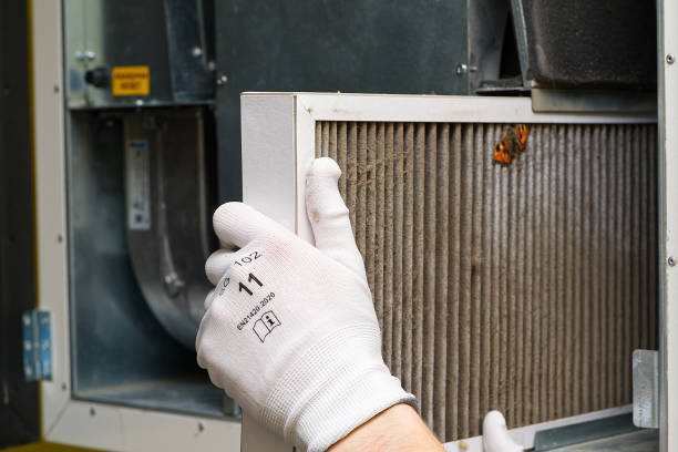 Air Quality Test in Avery Creek, NC