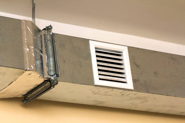 Air Duct Mold Removal in Avery Creek, NC